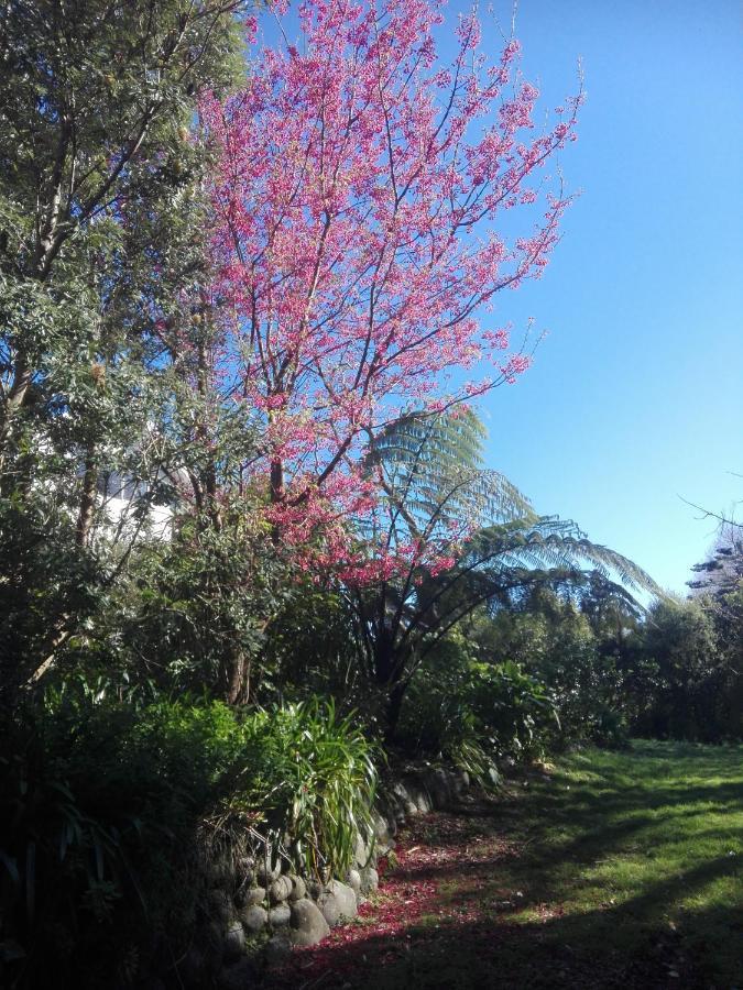 Purple Hen Country Lodge Katikati Dış mekan fotoğraf