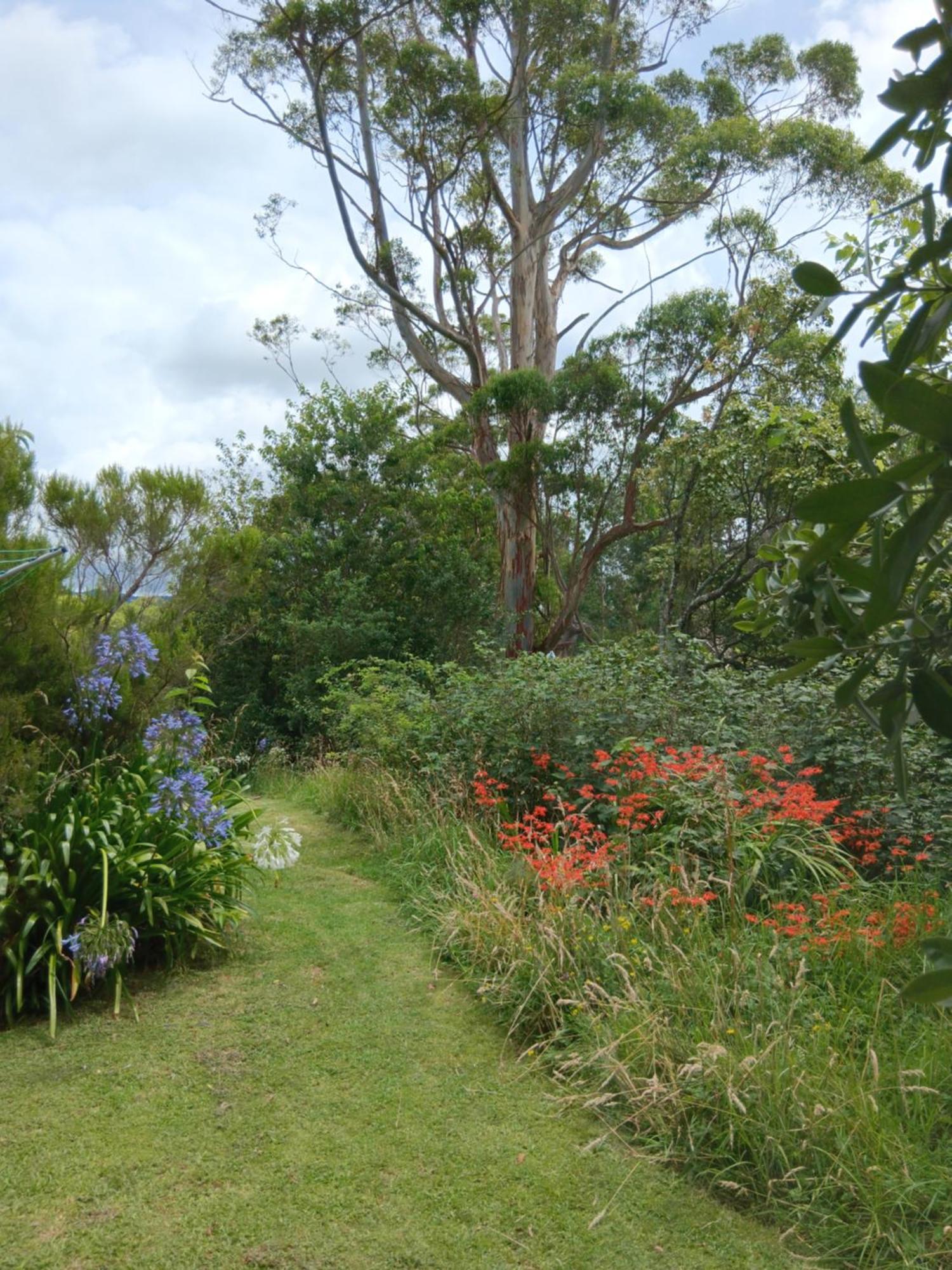 Purple Hen Country Lodge Katikati Dış mekan fotoğraf