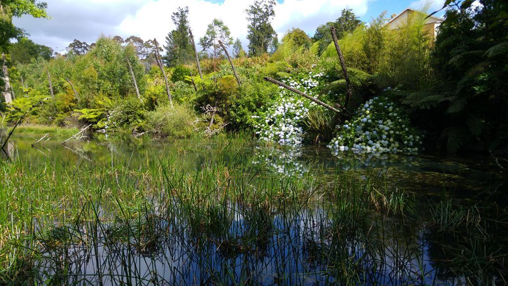 Purple Hen Country Lodge Katikati Dış mekan fotoğraf