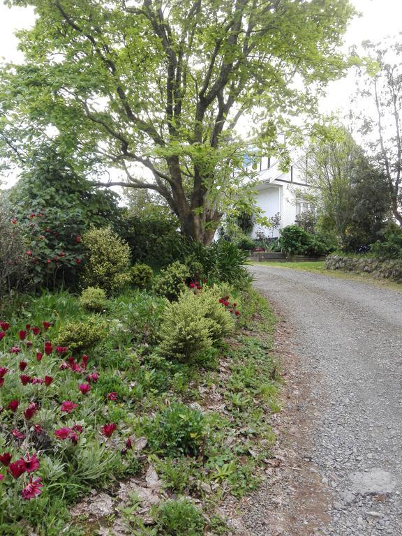 Purple Hen Country Lodge Katikati Dış mekan fotoğraf