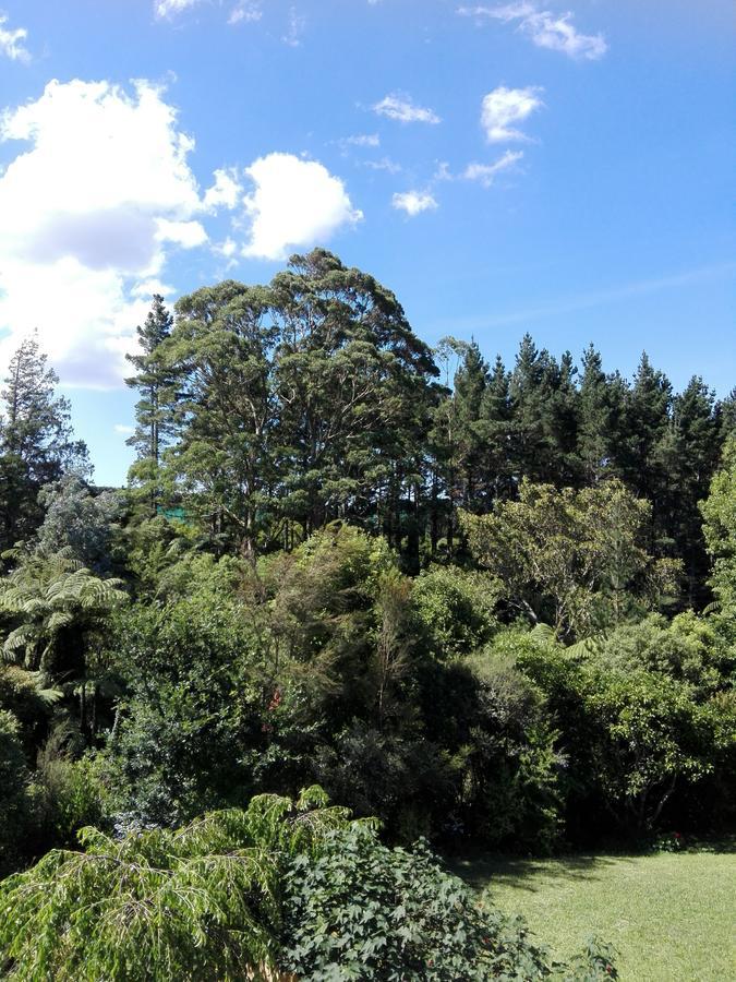 Purple Hen Country Lodge Katikati Dış mekan fotoğraf