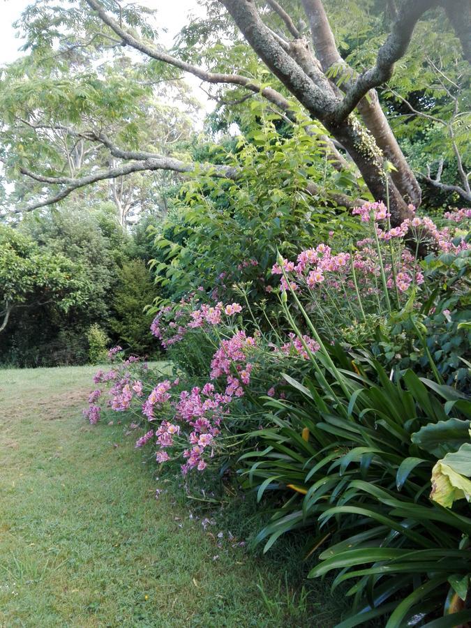 Purple Hen Country Lodge Katikati Dış mekan fotoğraf
